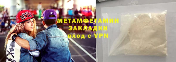 прущие грибы Болотное