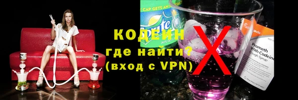 твердый Новозыбков