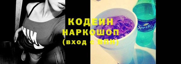 твердый Новозыбков