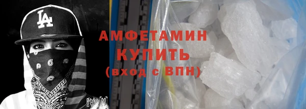 твердый Новозыбков