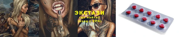 прущие грибы Болотное