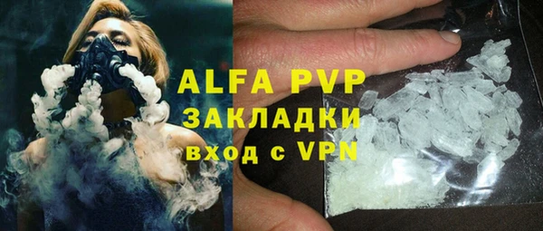 твердый Новозыбков