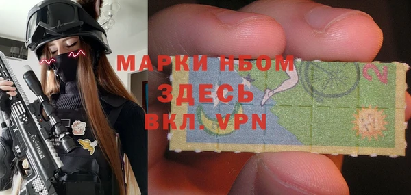 твердый Новозыбков