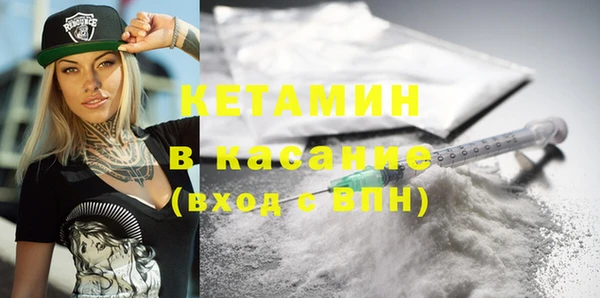 твердый Новозыбков