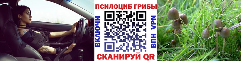 Галлюциногенные грибы ЛСД  это Telegram  Никольск  как найти закладки 